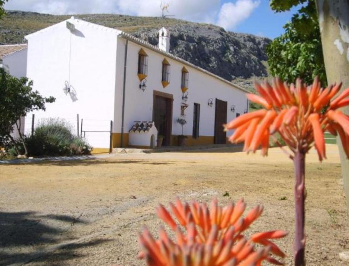 Complejo Cortijo Rural El Puntal Villa Teba Luaran gambar